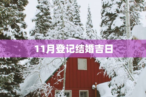 11月登记结婚吉日