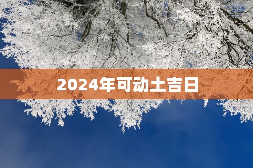 2025年可动土吉日