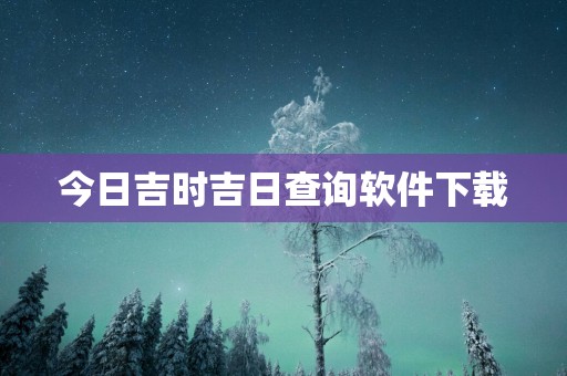 今日吉时吉日查询软件下载
