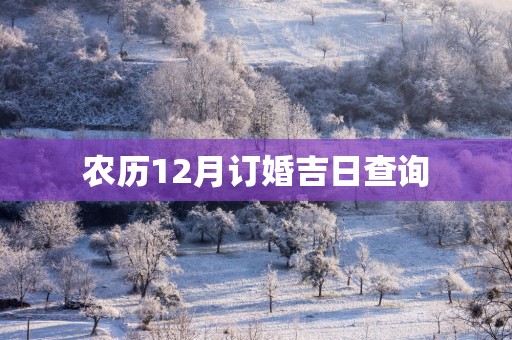农历12月订婚吉日查询