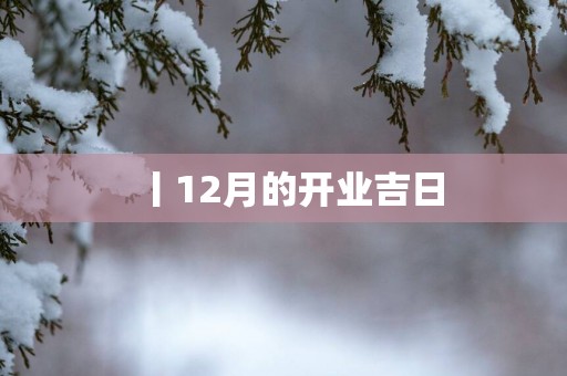 丨12月的开业吉日