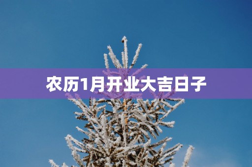 农历1月开业大吉日子