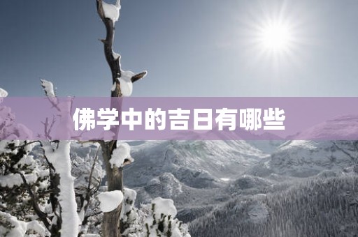 佛学中的吉日有哪些