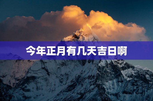 今年正月有几天吉日啊