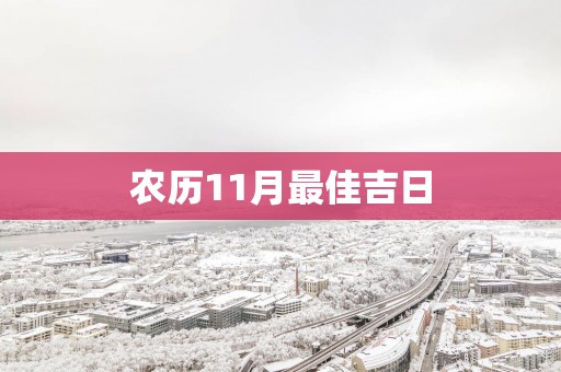 农历11月最佳吉日