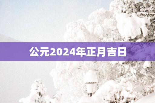 公元2025年正月吉日