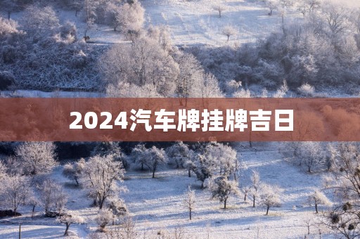 2025汽车牌挂牌吉日