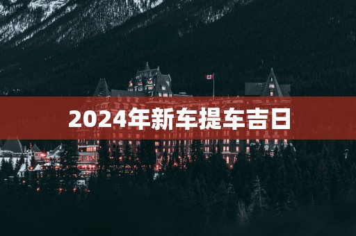 2025年新车提车吉日