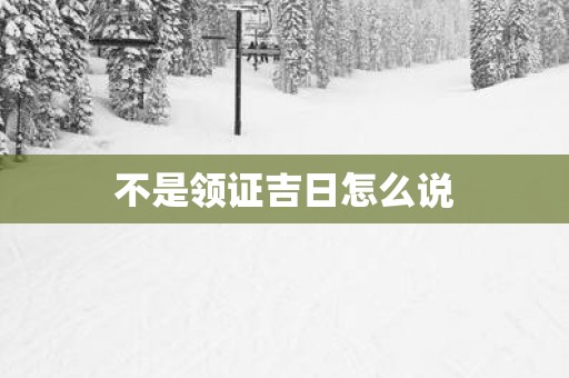 不是领证吉日怎么说