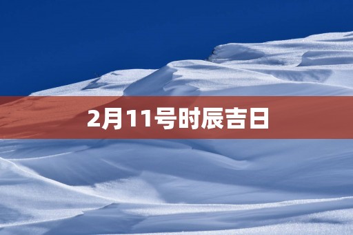 2月11号时辰吉日