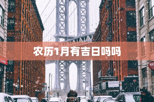农历1月有吉日吗吗
