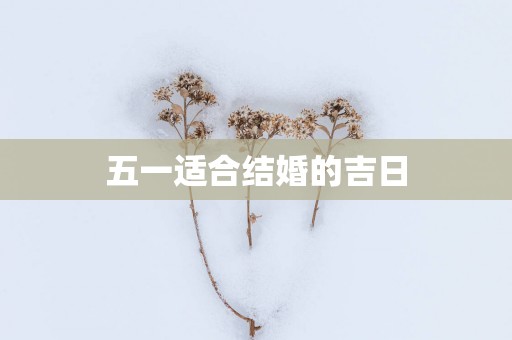 五一适合结婚的吉日