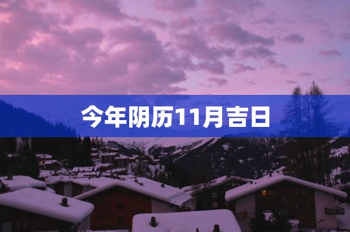今年阴历11月吉日