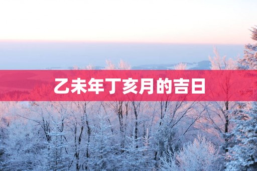 乙未年丁亥月的吉日