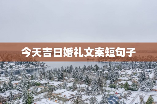 今天吉日婚礼文案短句子