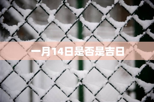 一月14日是否是吉日