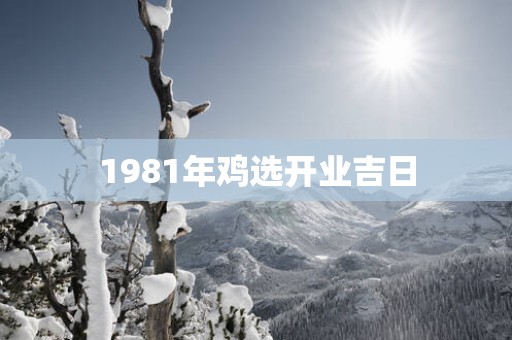 1981年鸡选开业吉日
