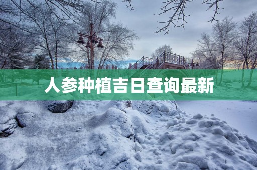 人参种植吉日查询最新