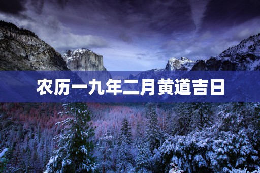 农历一九年二月黄道吉日