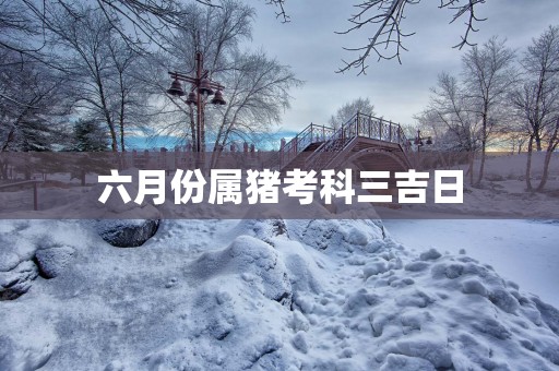 六月份属猪考科三吉日