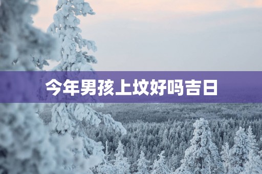 今年男孩上坟好吗吉日