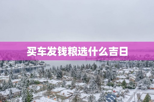 买车发钱粮选什么吉日