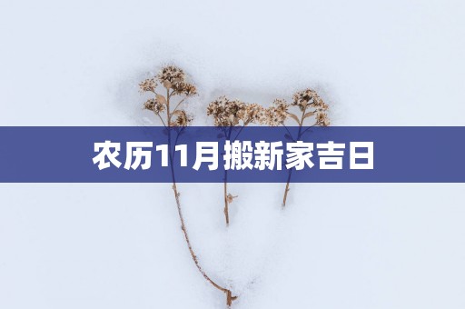 农历11月搬新家吉日