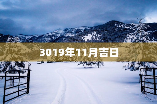 3019年11月吉日