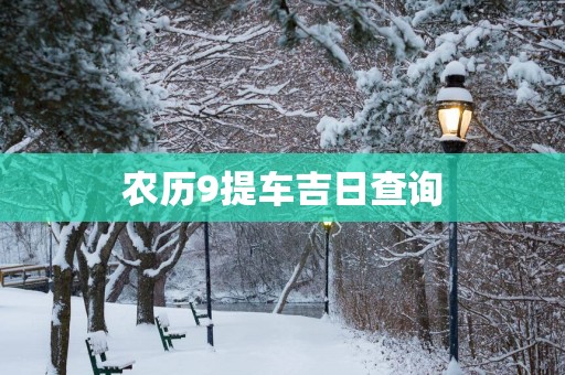 农历9提车吉日查询