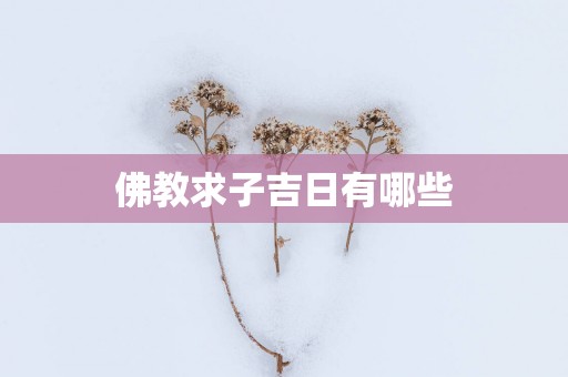 佛教求子吉日有哪些