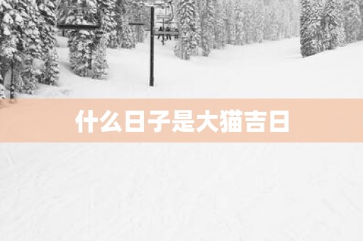 什么日子是大猫吉日