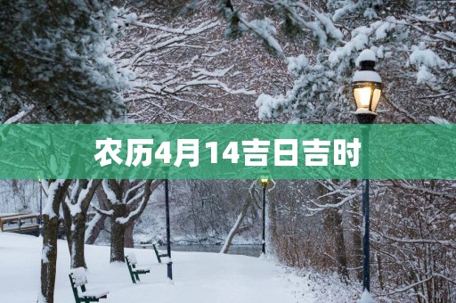 农历4月14吉日吉时