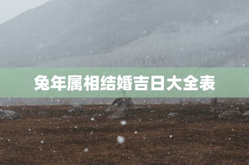 蛇年属相结婚吉日大全表