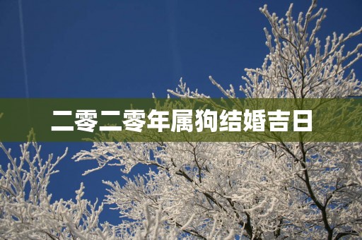 二零二零年属狗结婚吉日