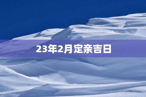 23年2月定亲吉日