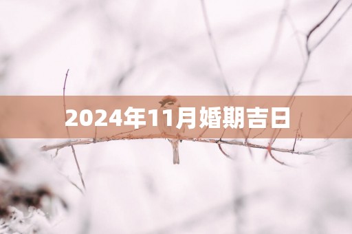 2025年11月婚期吉日