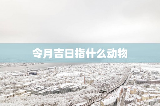 令月吉日指什么动物