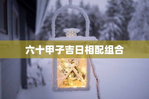 六十甲子吉日相配组合