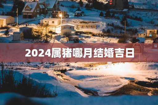2025属猪哪月结婚吉日