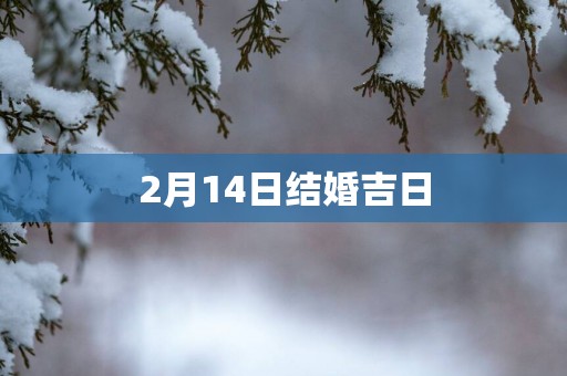 2月14日结婚吉日