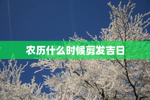 农历什么时候剪发吉日
