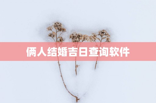 俩人结婚吉日查询软件