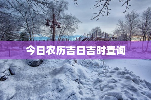 今日农历吉日吉时查询 今日农历吉日吉时查询
