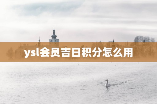 ysl会员吉日积分怎么用