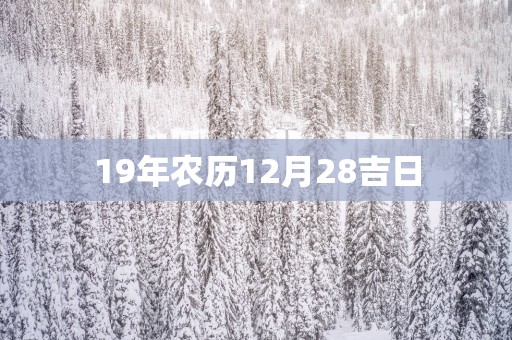 19年农历12月28吉日