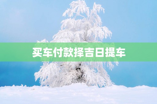 买车付款择吉日提车