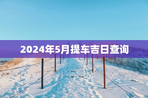 2025年5月提车吉日查询