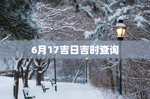 6月17吉日吉时查询
