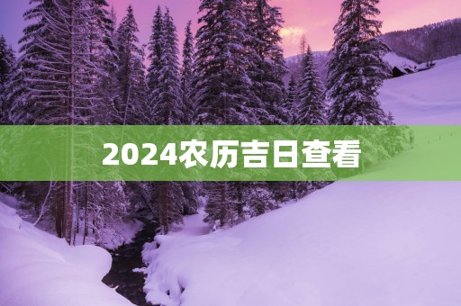 2025农历吉日查看