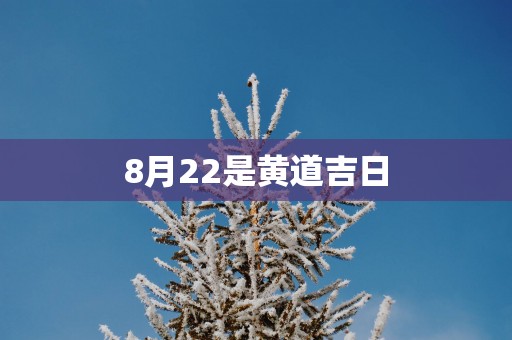 8月22是黄道吉日